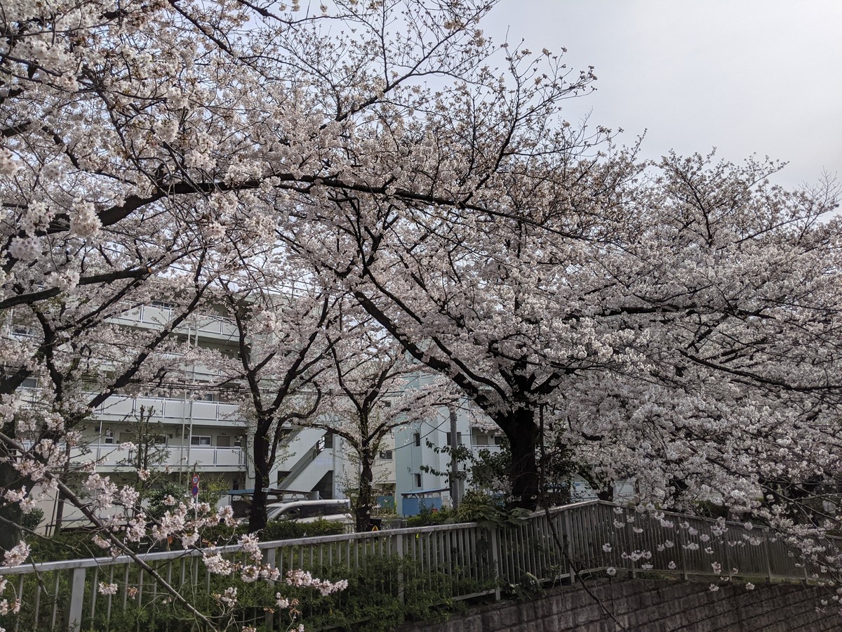 南田中銀座四丁目 南田中銀座四丁目