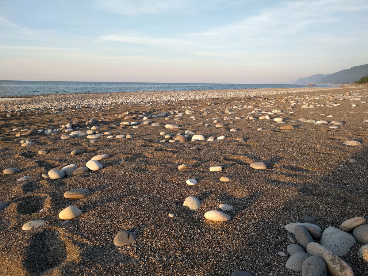 砂を泳ぐ魚 砂を泳ぐ魚